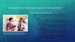 Assignment 1 - Child Development Overview