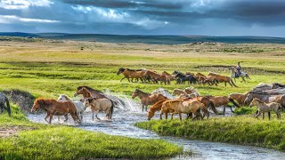 Splendid landscapes in Inner Mongolia
