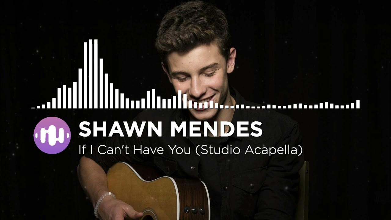 Shawn Mendes If I Can't Have You (Studio Acapella) YouTube