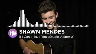 Shawn Mendes - If I Can't Have You (Studio Acapella)