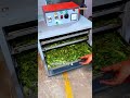 Neem Tray Dryer Machine 🌿 | Neem Se Powder Bana Kar Kamao Munafa 💰