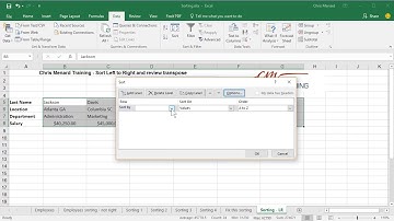 Sort left to right in Excel and Transpose by Chris Menard
