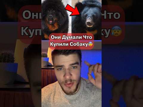 Они Думали Что Купили Собаку Но Оказалось…