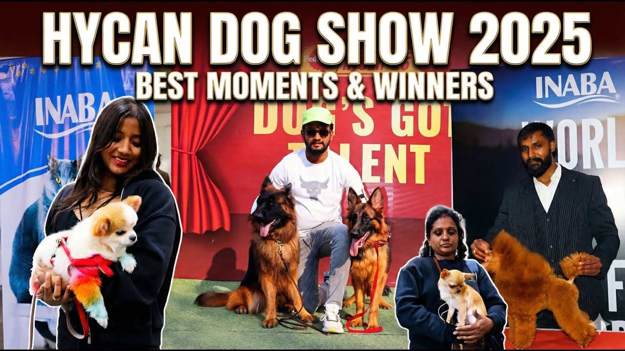 Biggest Dog show in Hyderabad | Hycan 2025