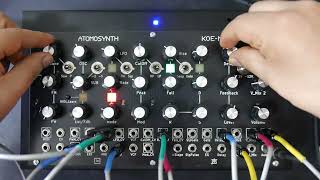 Famous AtomoSynth KOE_M6 random ambient patch #1 Net Worth