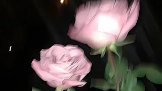 Download Lagu Hate it when i see you cry (Official Audio) MP3