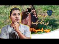 بینینی تۆشەبەرە تورەکە کیسە لەخەودا چییە