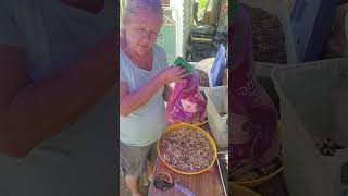 Make Your Own Orchid Potting Mix