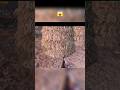 pubg horror place | check out #pubg #viralshort