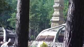 Thor: The Dark World, Bourne Woods Set