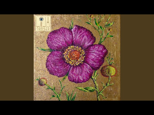 Marketa Irglova - Alchemy of Love