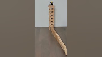 Jenga dominoes and block tower