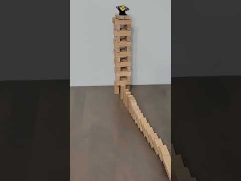 Jenga dominoes and block tower