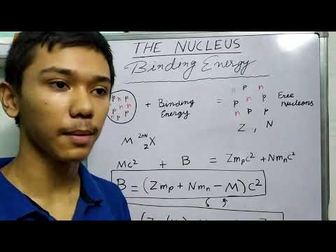 The Nucleus : Binding Energy of a Nucleus .