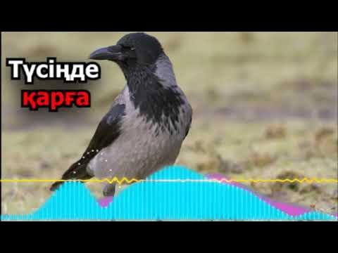 Минеттік хабарландырулар