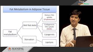 5.14 Adipose tissue metabolism