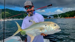 TINY new REEL catches BIG FISH