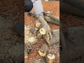 Pole saw and electric shears #tools #chainsawaccessories #makita