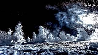 Granat, biel i nic więcej, Mariusz Parlicki