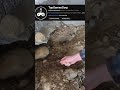 Digging 1 time for every sub 2 #reallife #memes #bunker #digging #spoon #everysubscriber #suffering