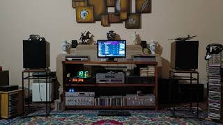 Black Dog (Cover) By Vanessa Fernandez 