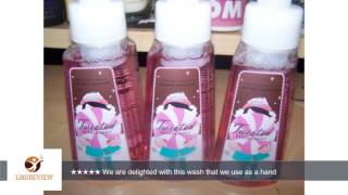 Lot of 3 Bath & Body Works Holiday Traditions Twisted Peppermint Gentle Foaming Anti Bacterial Hand