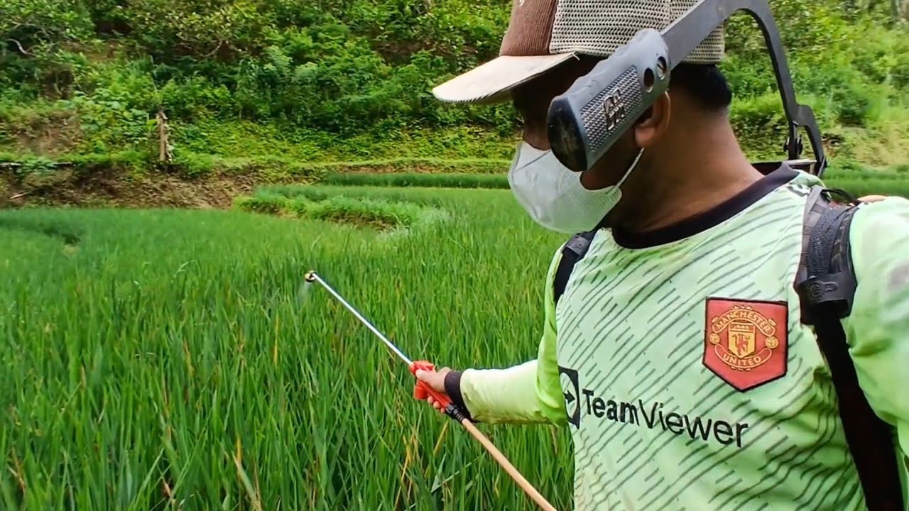 Aktifitas minggu pagi lll anake wong tani lagi beraksi