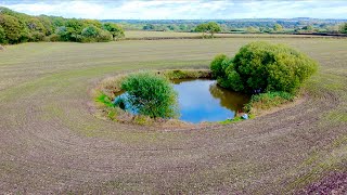 Can I catch The Biggest Carp Out The Pond In The Field!?