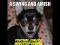 A Swing And Amish