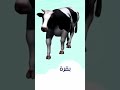 البقرة من الحيوانات الاليفه التي تساعد الفلاح Shorts 