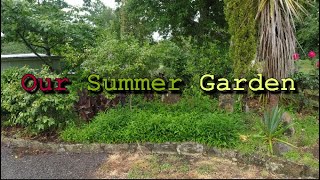 Our Summer Garden