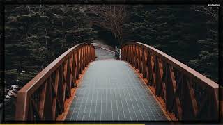 The Harmonious Path: Exploring Holistic Traditions Across Cultures and Time | Everything You Need to