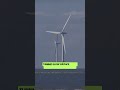 THE SEA, THE WINDMILLS, AND THE UNEXPECTED CONSEQUENCES.