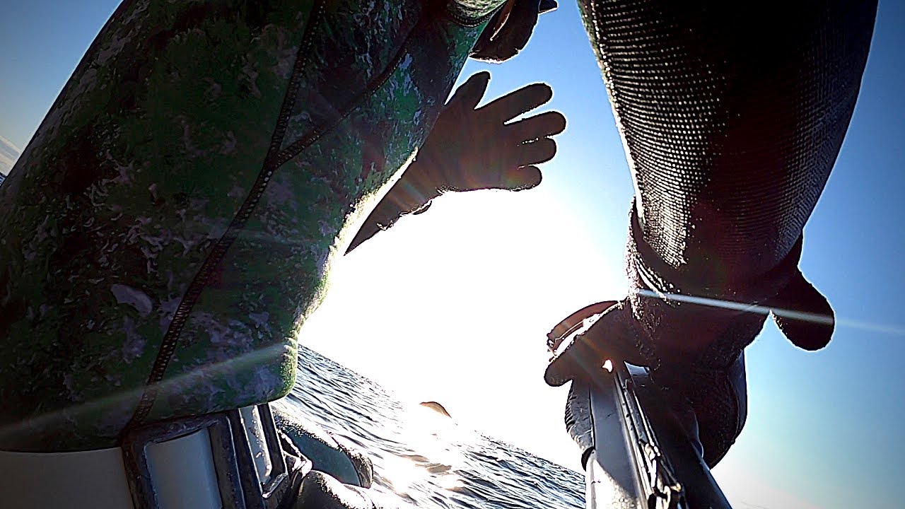 Night Diving The Indian Arm British Columbia