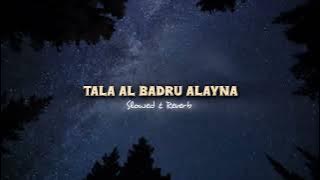 ᴛᴀʟᴀ ᴀʟ ʙᴀᴅʀᴜ ᴀʟᴀʏɴᴀ | 𝐒𝐥𝐨𝐰𝐞𝐝 & 𝐑𝐞𝐯𝐞𝐫𝐛 | ℕ𝕖𝕨