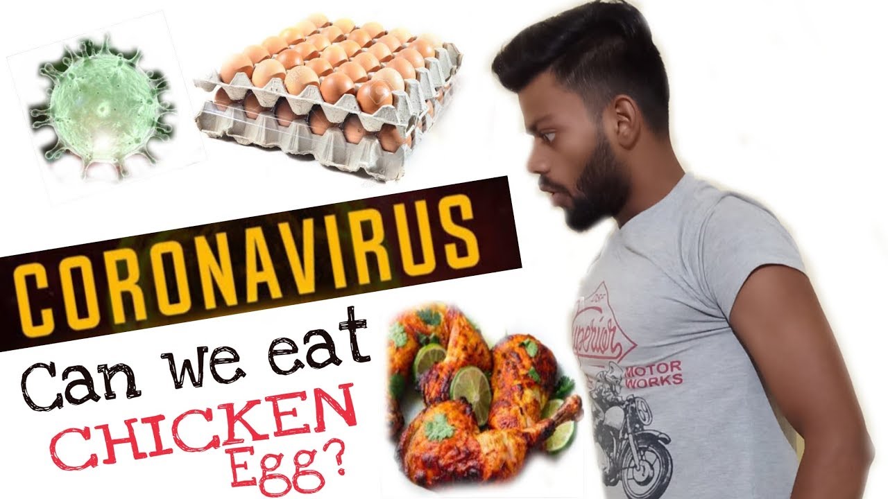 CORONAVIRUS Can we eat CHICKEN And EGGS? Is it harmful or useful