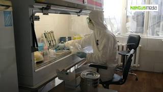 Как в лаборатории Кыргызстана проводят анализ на коронавирус