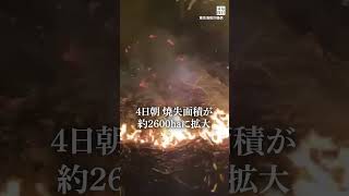 岩手・大船渡の山林火災　焼失面積2600ヘクタールに拡大