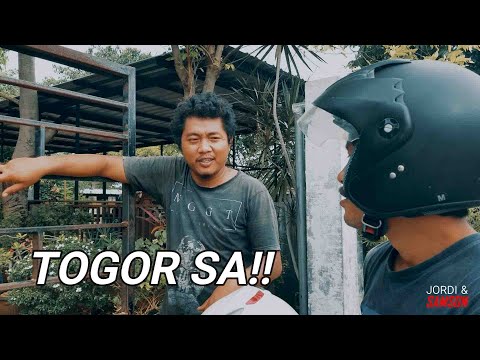 TOGOR SA!!! _ JORDI & SAMSON