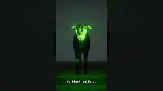 Miim Yoksullarına Gelsin. Ürk