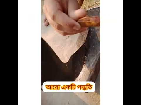 ভিডিও: কীভাবে তেঁতুলটা প্রজনন করে?