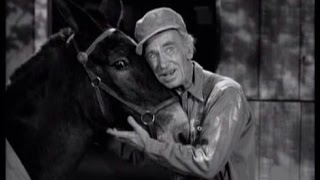 Lassie - Episode #240 - "Shadrack" - Season 7 Ep. 21 -  02/05/1961