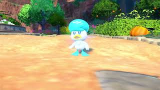 Quaxly evolution line Pokemon Scarlet Profile