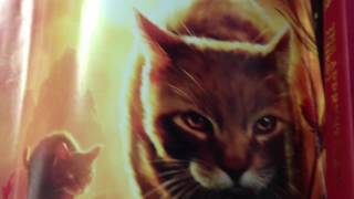 The Apprentice Quest - Book Trailer