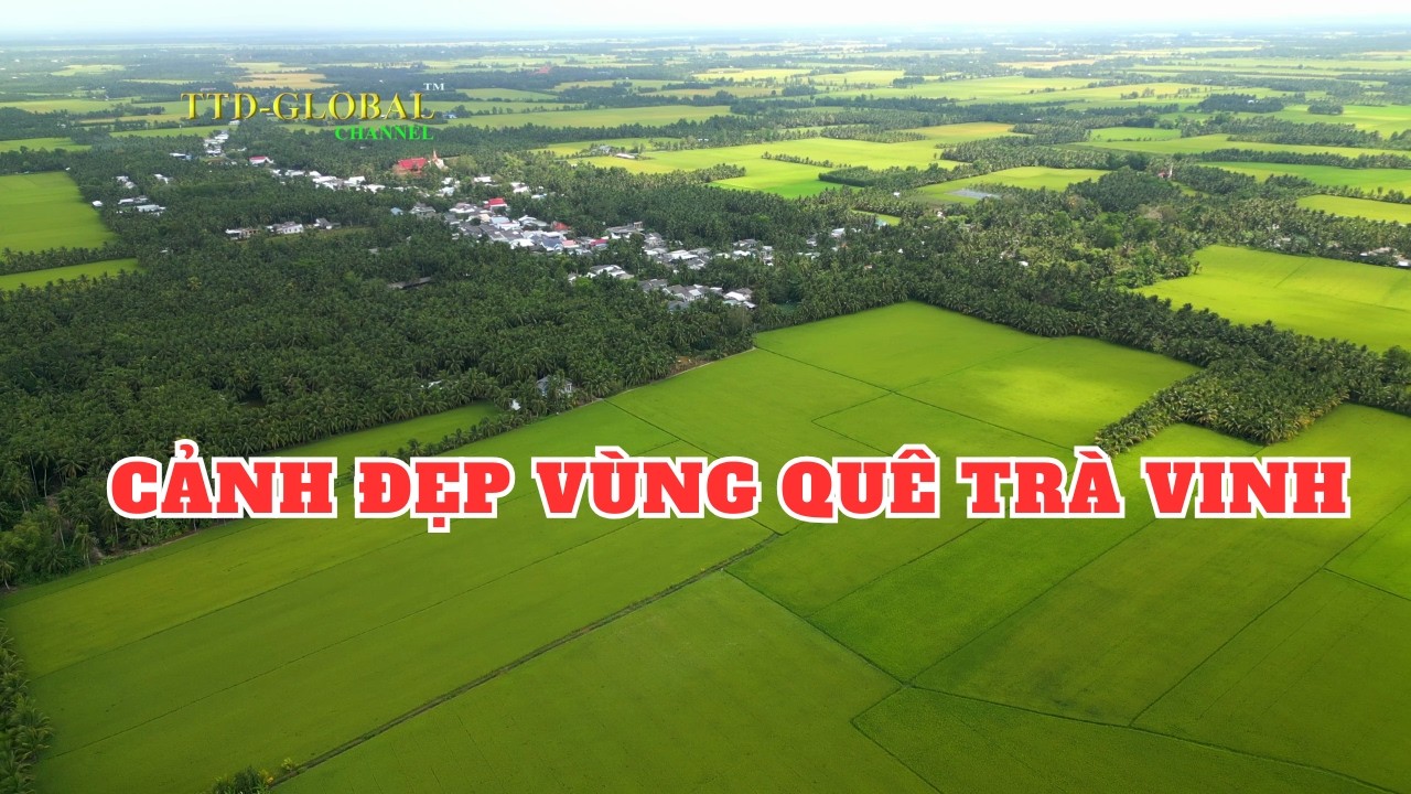 Khám phá xã Tập Ngãi Tiểu Cần Trà Vinh