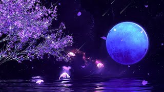 Live Stream Image