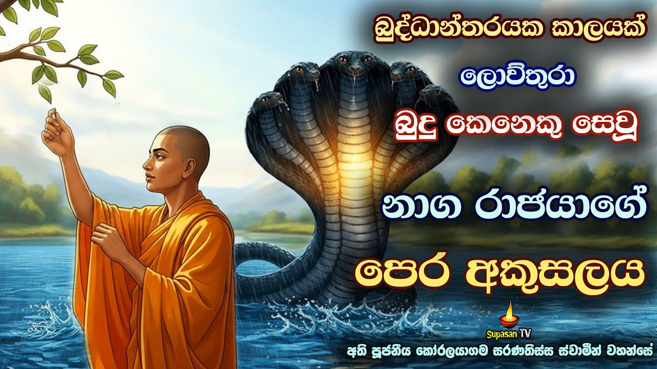 බුද්ධාන්තරයක් බුදුකෙනෙක් සෙවූ නාගයෙක් වූ භික්ශුව | Eraka Pathra Naga raja