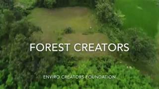 Forest Creators | Chhattisgarh forest