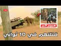 المرشد قالهم متخافوش حادثة فيل زامبيا الغاضب اللي هز العالم في 2025 