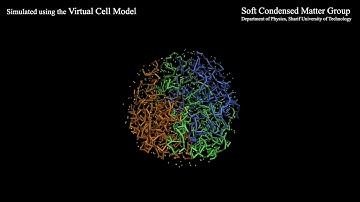 Virtual Cell Model (VCM): Cell nucleus example MD simulation.